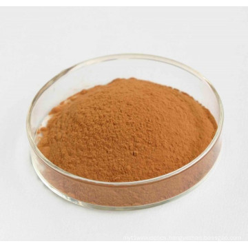 Natural Sleeping Aid Medicine Spina Date Seed Extract